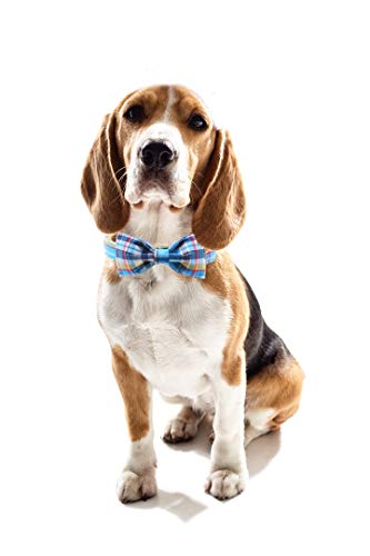 Plaid Dog Collar with Bow Pet Gift Adjustable Soft and Comfy Bowtie Collars for Small Medium Large Dogs (Large / blue plaid)