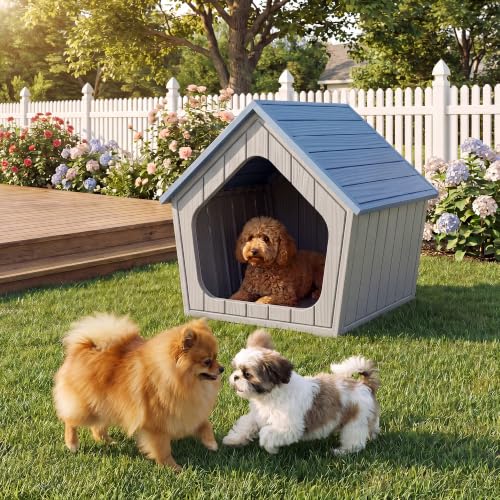 Indoor Outdoor Small Dog House Weatherproof for Small Dogs Sturdy Pet House for Indoor Living Room & Outdoor Patio (Light Blue / 24"L×23"W×23"H)