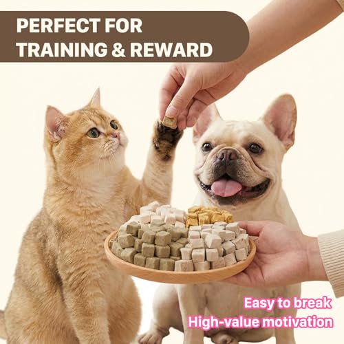 Freeze Dried Salmon Treats for Dogs & Cats (6 Ounce (Pack of 1))