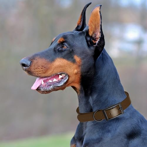 Biothane Waterproof Dog Collar Strong Coated Nylon Webbing with Black Hardware Odor (W5/8" x L12-15" / Dark Chocolate Brown)