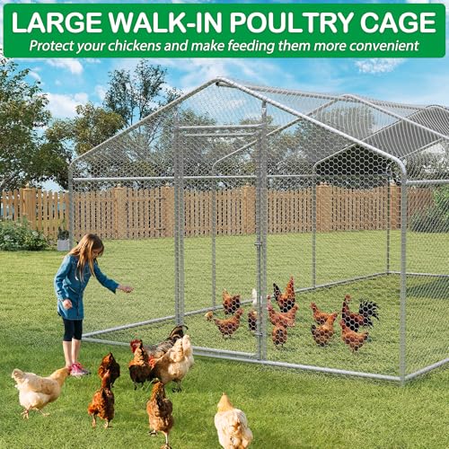 Large Metal Chicken Coop (227.0"L x 107.5"W x 77.0"H)