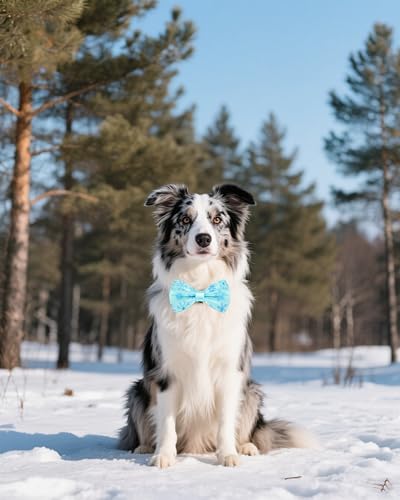 10 Pack Winter Dog Bowties for Large Dogs Sliding on Collar (M/L)