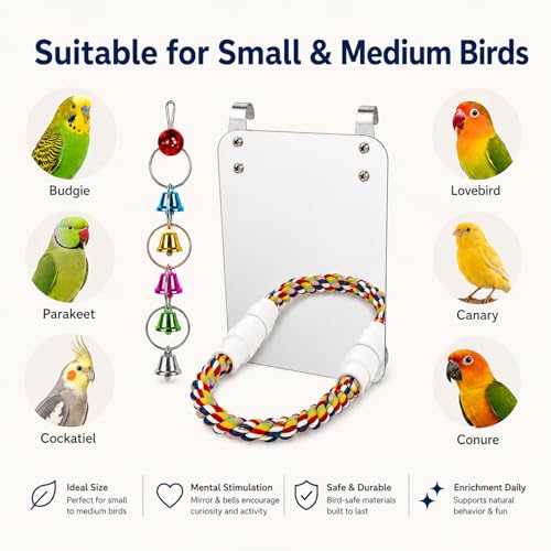 7" Bird Mirror with Rope Perch Bird Toys Swing (7 inch)