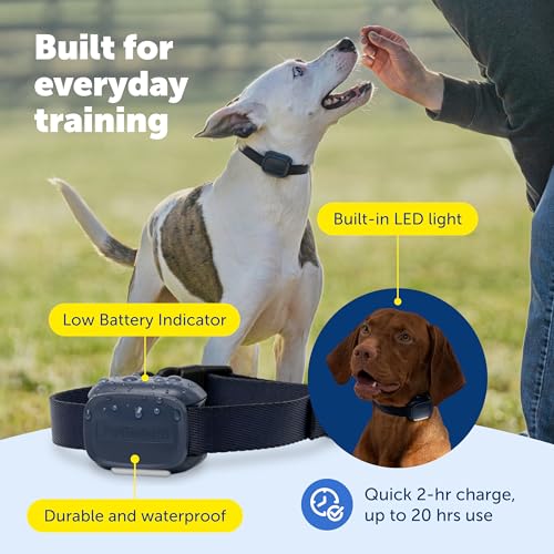 Core Dog Trainer with Remote and Add (2-Dog Trainer)
