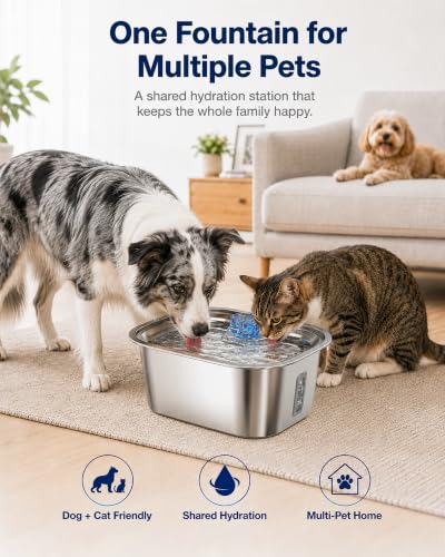 2.4 Gallon Stainless Steel Dog Water Fountain for Large Dogs