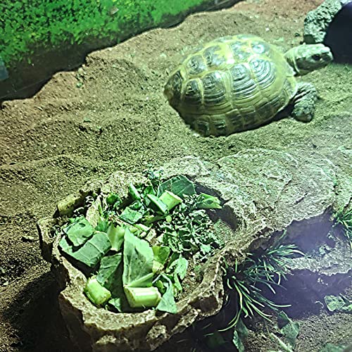 Turtle Basking Platform (Rustic)