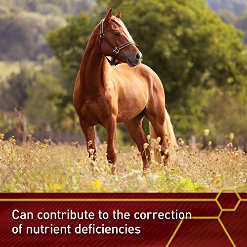 Pro E & Selenium Supplement for Horses (320 Day Supply, 20 Pound)