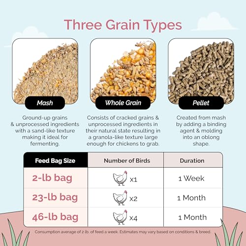 Organic Chicken Feed (Whole Grain / 46 Pound (Pack of 1))