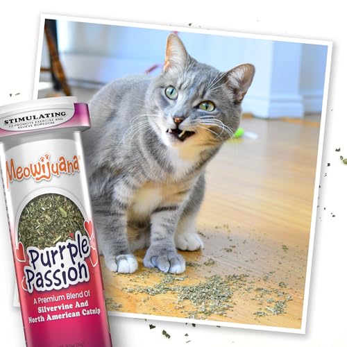 Purr Effect Trio Pack