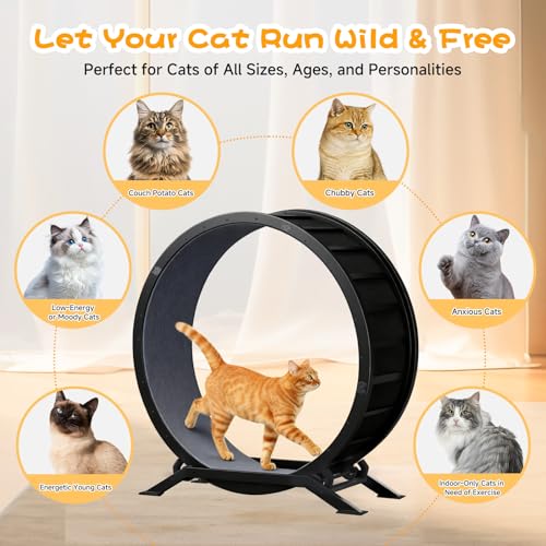 Cat Wheels 40" Diameter (Dark)