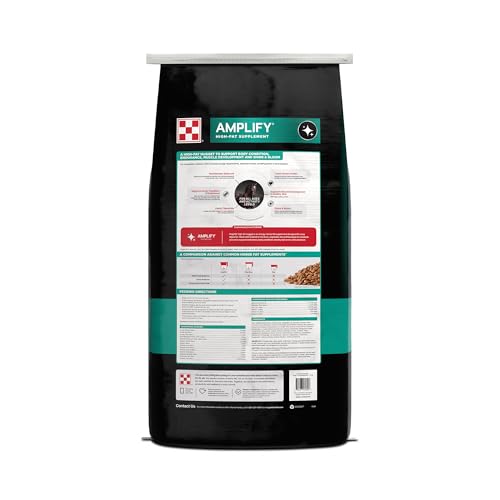 Amplify Equine (One Size)