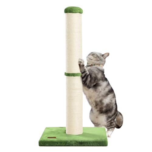 34" Tall Cat Scratching Post with Sisal Rope for Indoor Cats Green (Green)