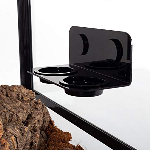 Magnetic Reptile Ledge
