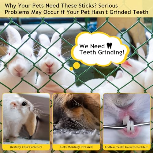 600g Organic Apple Sticks Small Animals Molar Wood Treats Toys for Chinchillas Guinea Pig Rabbits Hamster Gerbil Parrot Bunny Chew Stick Toys (1.33 Pound (Pack of 1))