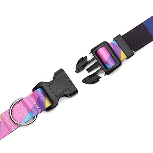 Adjustable Dog Collar (Medium / Geometry Purple)