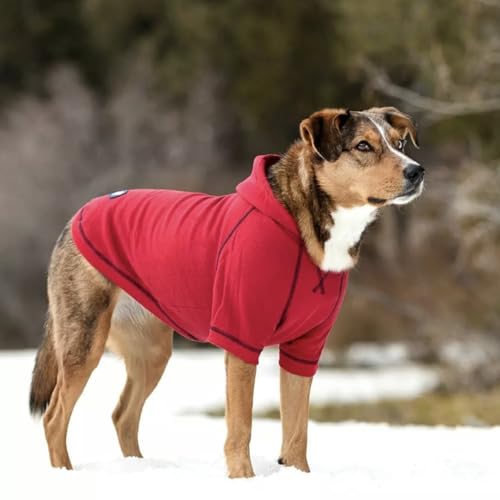 Essentials Dog Hoodie (26 inch (Pack of 1) / Dog Hoodie - Red)