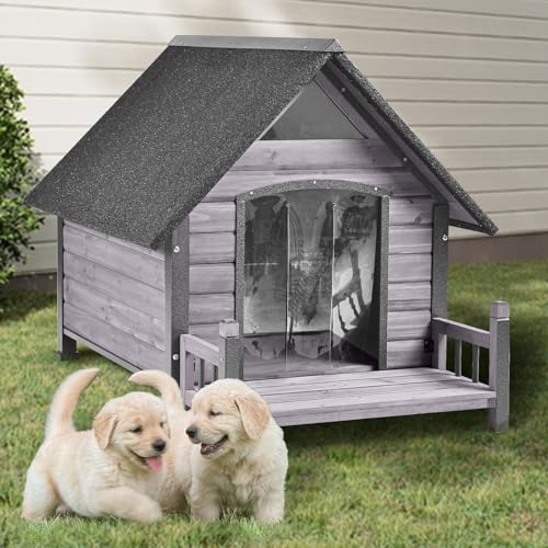 Dog House Outdoor Indoor All