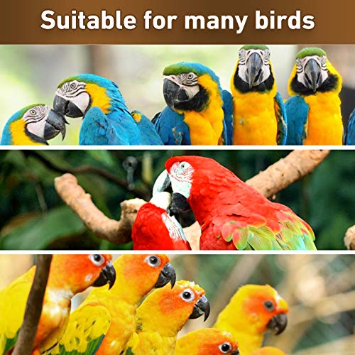 Parrot Chewing Toys Bird Toys Natural Wood Bird Toys Parakeet Cage Hammock Hanging Toy for Parrots (Natural)