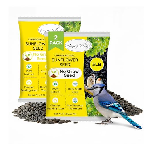 10 LB Black Oil Sunflower Seeds Bird Food (5 Pound (Pack of 2))