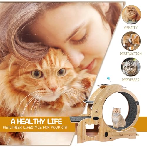 Cat Wheel 6 in