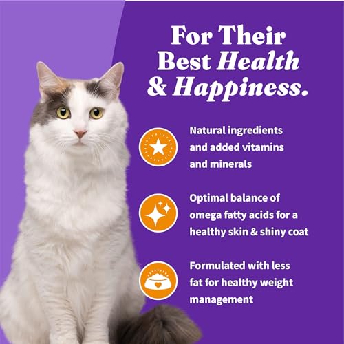 Holistic Indoor Dry Cat Food