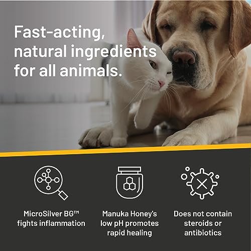 Hot Spot & Wound Care Pet First Aid Spray Gel