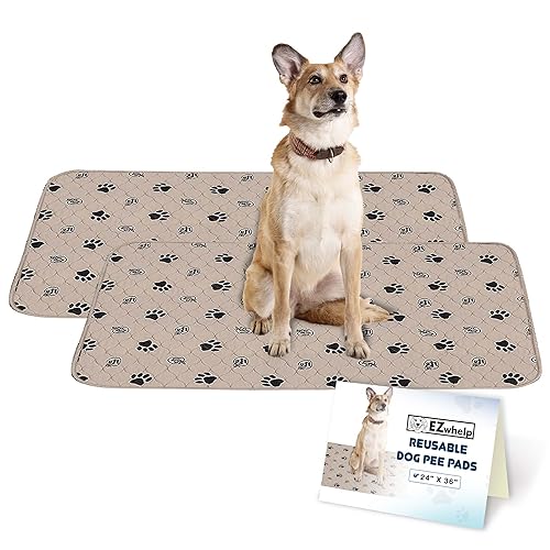 Reusable Dog Pee Pads (24x36 Inch)