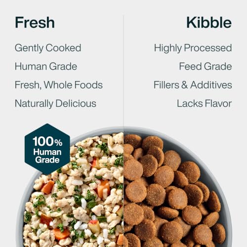 Pantry Fresh Dog Food Variety Pack (12.5 Ounce (Pack of 8))