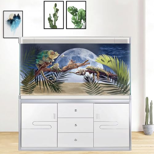 Moon Aquarium Background (72X16in/180X40cm / Star05)