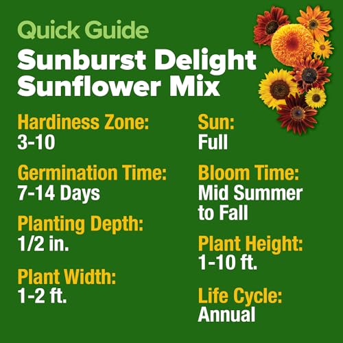 Sunflower Mix Seeds