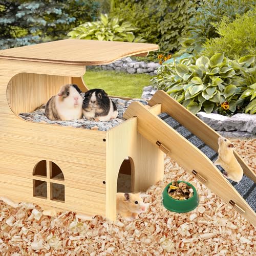 Double Layer Guinea Pig Castle with Stairs & Mat