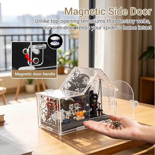 Acrylic Jumping Spider Enclosure Kit 16PCS with Decor (Black-Forest style)