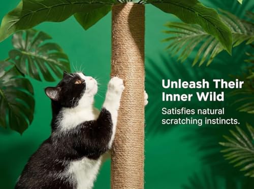 31.5Inch Cat Scratching Post