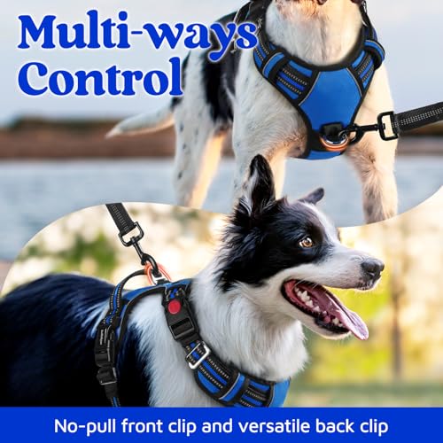Dog Harness Medium Sized (Royal Blue / Medium)