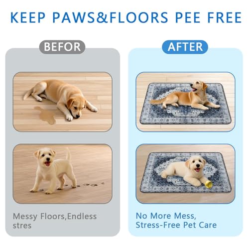 Washable Pee Pads for Dogs 2 Pack (24"x36"(2 Pack) / E Blue)