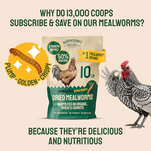 5lb Dried Mealworms for Chickens & Wild Birds (5 Pound (Pack of 1))