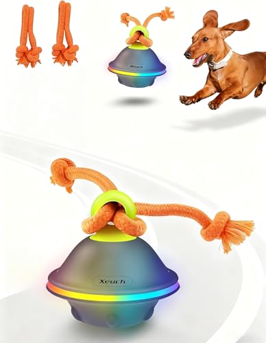 Interactive Dog Ball with Rope (Blue)