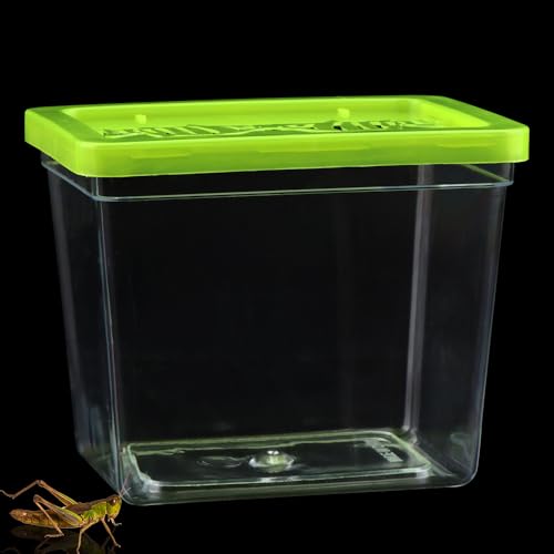 48 Pack Small Plastic Reptile Carrier Tarantula Enclosure Breeding Box Hatching Container for Spider Snail Turtle Hermit Crab Insect