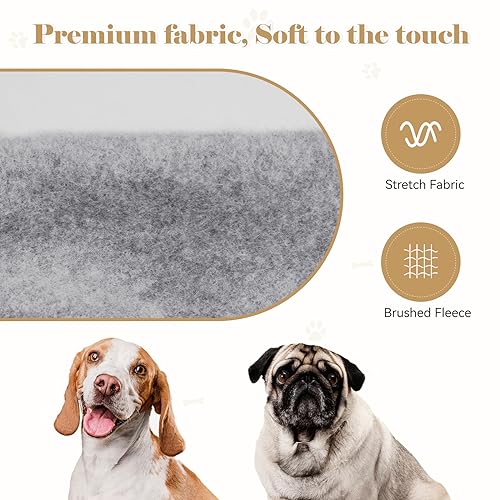 Dog Sweaters for Small Dogs (Small / Grey)