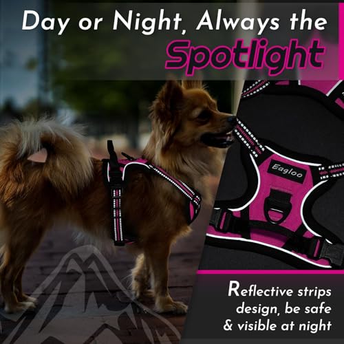 Dog Harness for Small Dogs (X-Small / Rose Red)