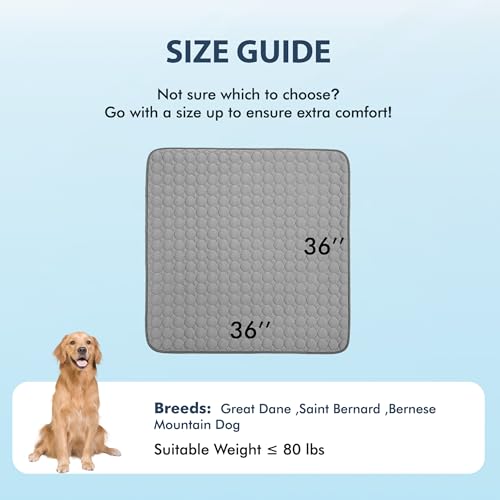 Summer Cooling Mat & Sleeping Pad (36" x 36" / Dark Grey)