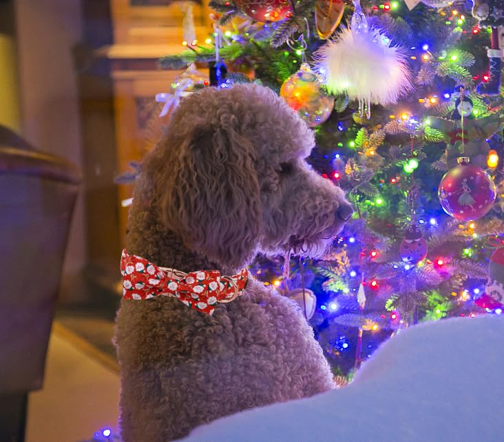 Christmas Day Dog Collar with Bow Christmas Tree Cotton Puppy Collars for Small Medium Large Dogs (Extra Small / elk bow)
