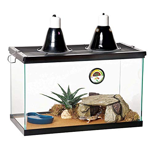 10 Gallon Reptile Starter Habitat Kit (Terrarium)