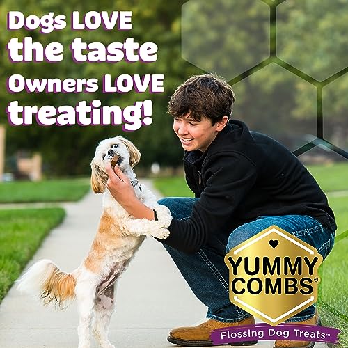 Dog Dental Treats (12 Ounce)