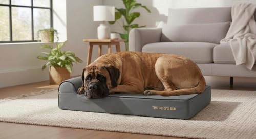 The Dog’s Bed Orthopedic Memory Foam Dog Bed with Headrest XXL 6 (Grey with Black Trim / XXL (54"L x 36"W x 6"Th))
