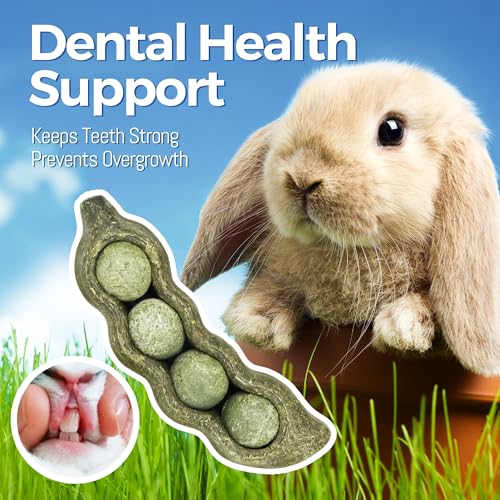 Guinea Pig Toys (3PCS-Peapods)