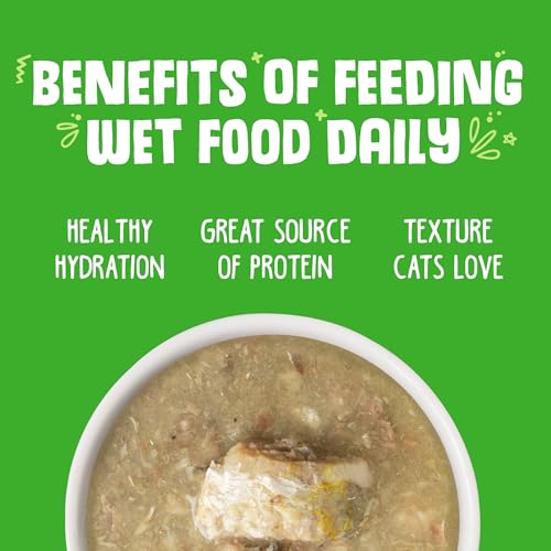 Classic Cat Food (3 Ounce (Pack of 24))