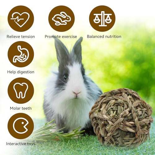 Rabbit Timothy Grass Ball 6 Pcs