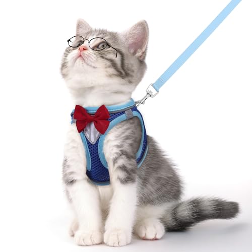 Cat Vest Harness and Leash Set (Blue / L)