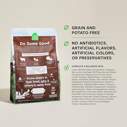 Grain Free Dry Cat Food (8 Pound (Pack of 1))